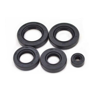 Motorcycle Rubber Full Engine Oil Seal Kits for Honda CG125 CG150